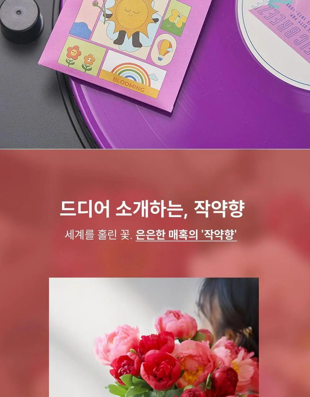 [NEW/캔들 활용 가능] 꾸까 샤쉐 4종 세트 (온) 상세페이지 20